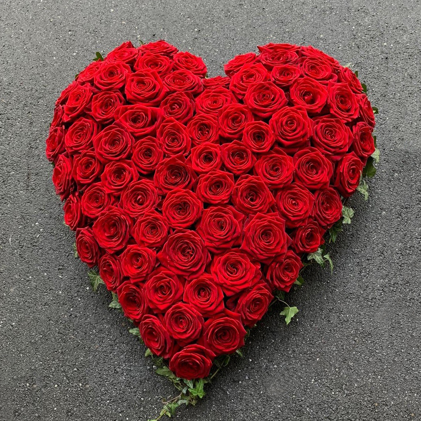 Herz mit Rosen, Efeuranken