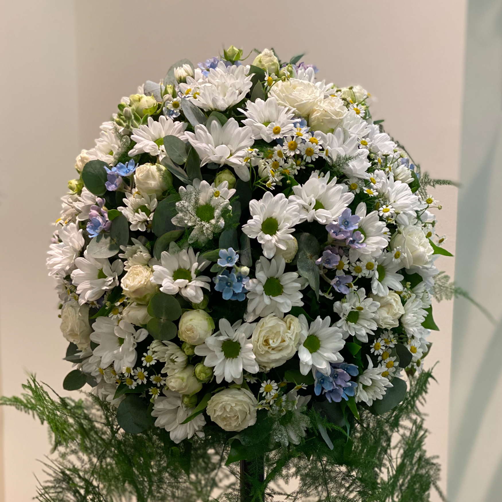 Kugelgesteck mit Chrysanthemen, Oxypetalum