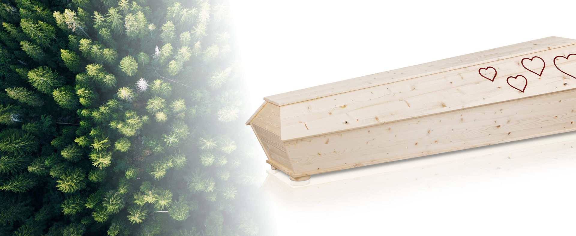 Slider-Sterne_Herzen@2x 1 (1)