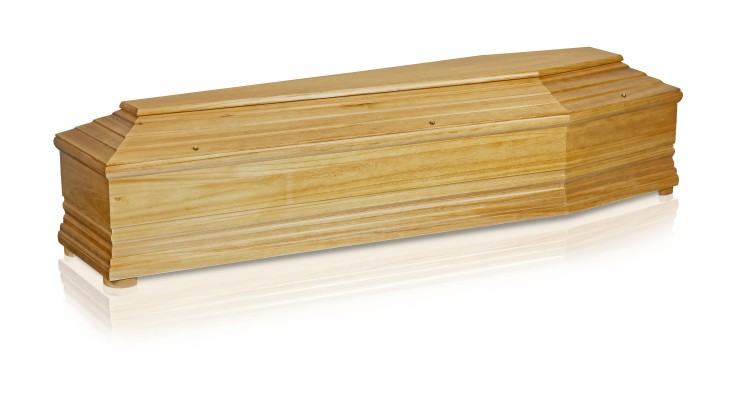 Blauglockenbaum