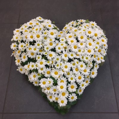 Herz mit Margeriten